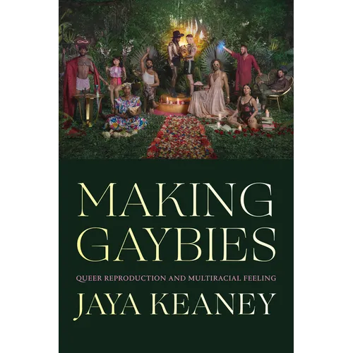 Making Gaybies: Queer Reproduction and Multiracial Feeling - Paperback
