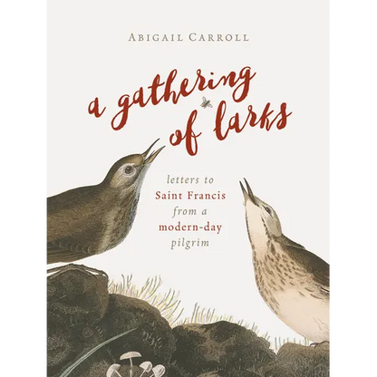A Gathering of Larks: Letters to Saint Francis from a Modern-Day Pilgrim - Paperback