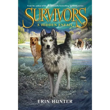 A Hidden Enemy - Paperback