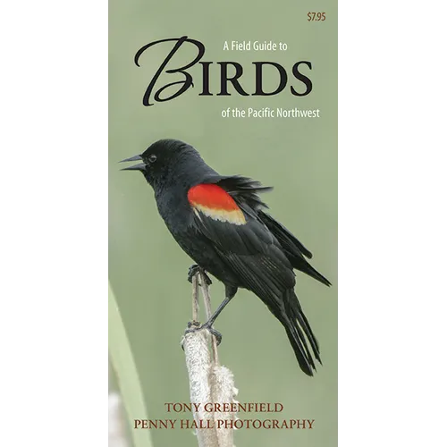 A Field Guide to Birds of the Pacific Northwest - Paperback