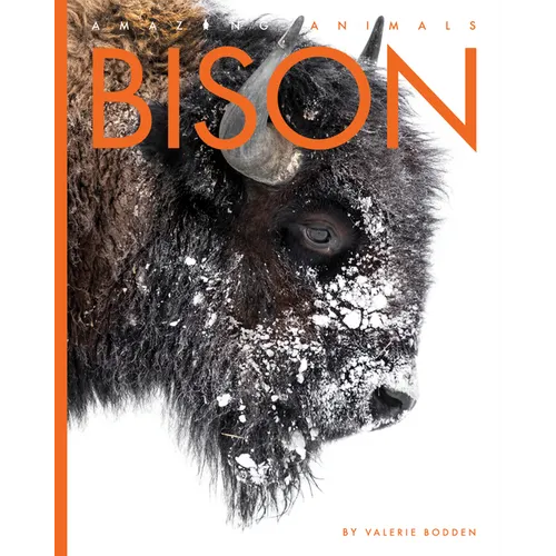 Bison - Paperback