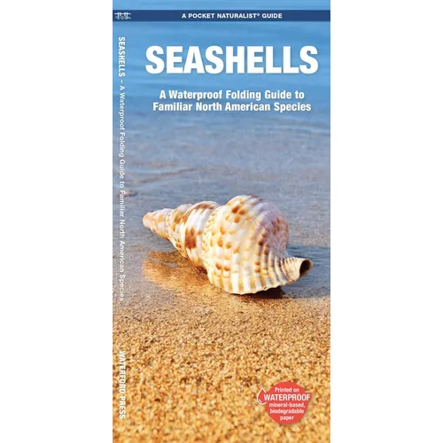 Seashells, 2nd Ed: A Folding Pocket Guide to Familiar North American Species - Paperback