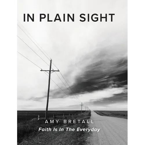 In Plain Sight: Faith Is In The Everyday - Hardcover