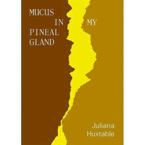 Mucus in My Pineal Gland - Paperback