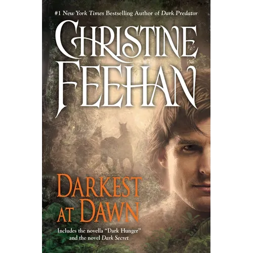 Darkest at Dawn - Paperback