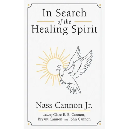 In Search of the Healing Spirit - Paperback