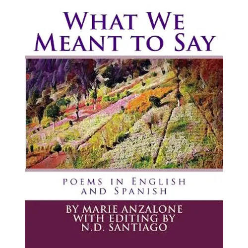 What We Meant to Say: poems in English and Spanish - Paperback