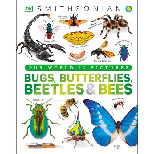 Our World in Pictures Bugs, Butterflies, Beetles and Bees