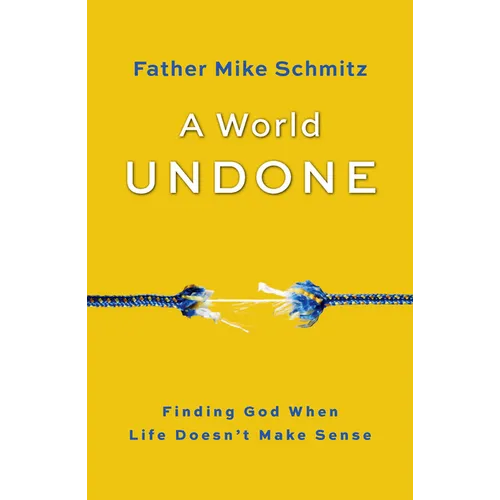 World Undone: Finding God When Life Doesn't Make Sense - Paperback