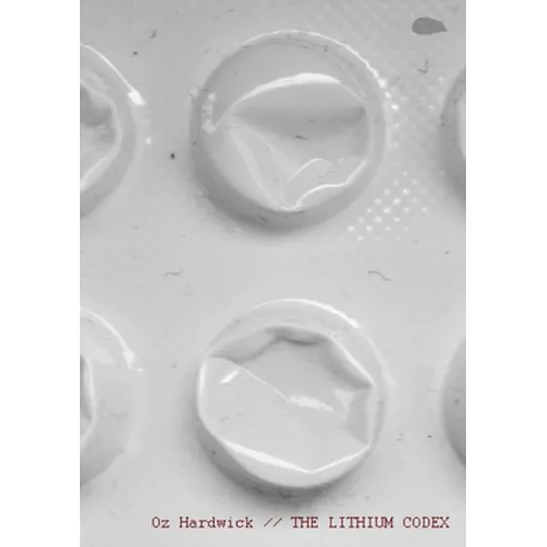 The Lithium Codex - Paperback