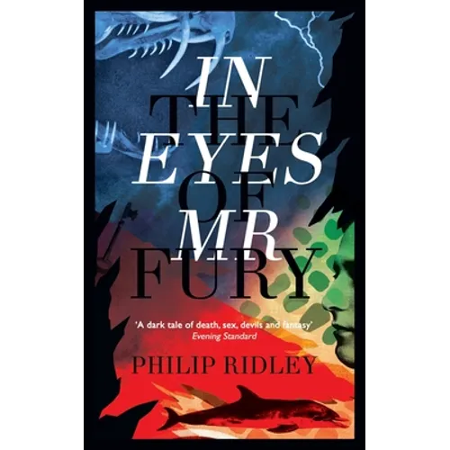 In the Eyes of Mr Fury - Paperback