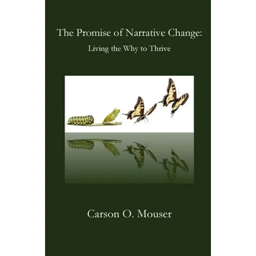The Promise of Narrative Change - Paperback