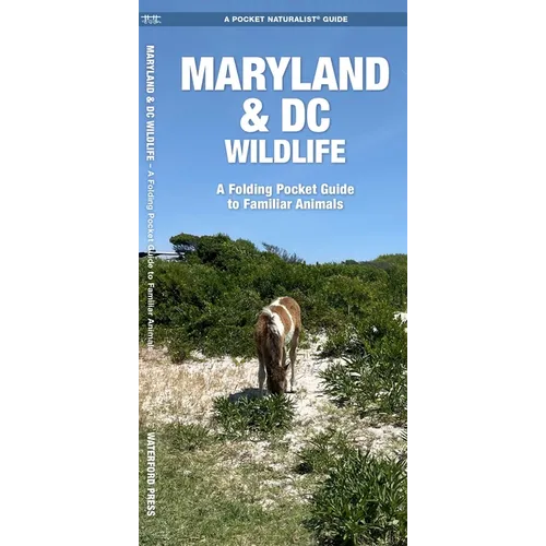 Maryland & DC Wildlife: A Folding Pocket Guide to Familiar Animals - Loose Leaf