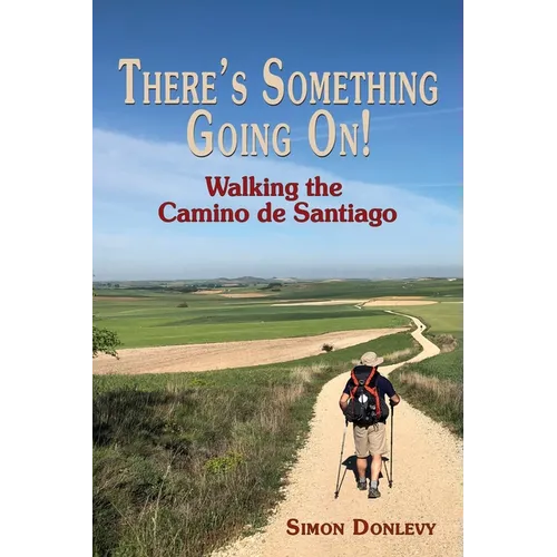 There's Something Going On!: Walking the Camino de Santiago - Paperback