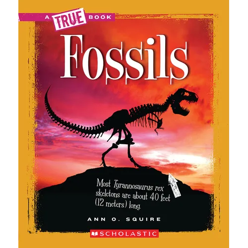 Fossils (a True Book: Earth Science) - Paperback