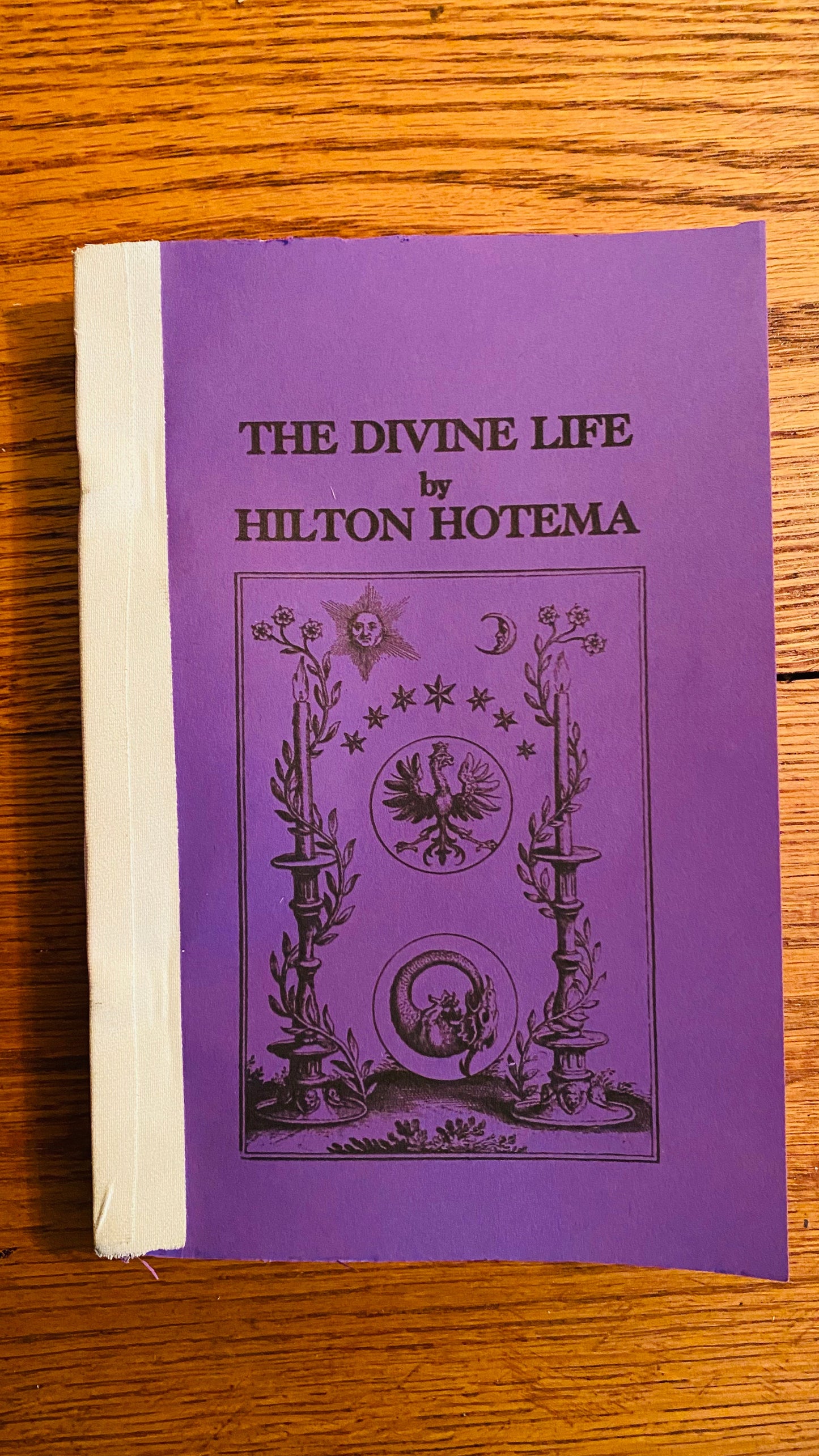 The Divine Life — Hilton Hotema