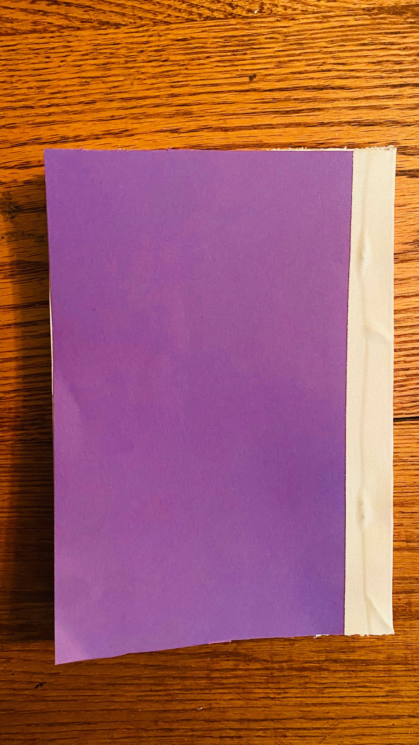 The Divine Life — Hilton Hotema