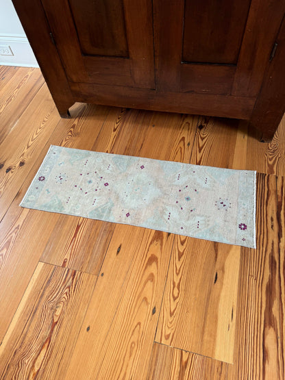 1'4" x 3'9" Small Runner Rug