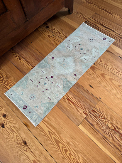 1'4" x 3'9" Small Runner Rug