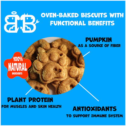 Paw Snacks - Regular