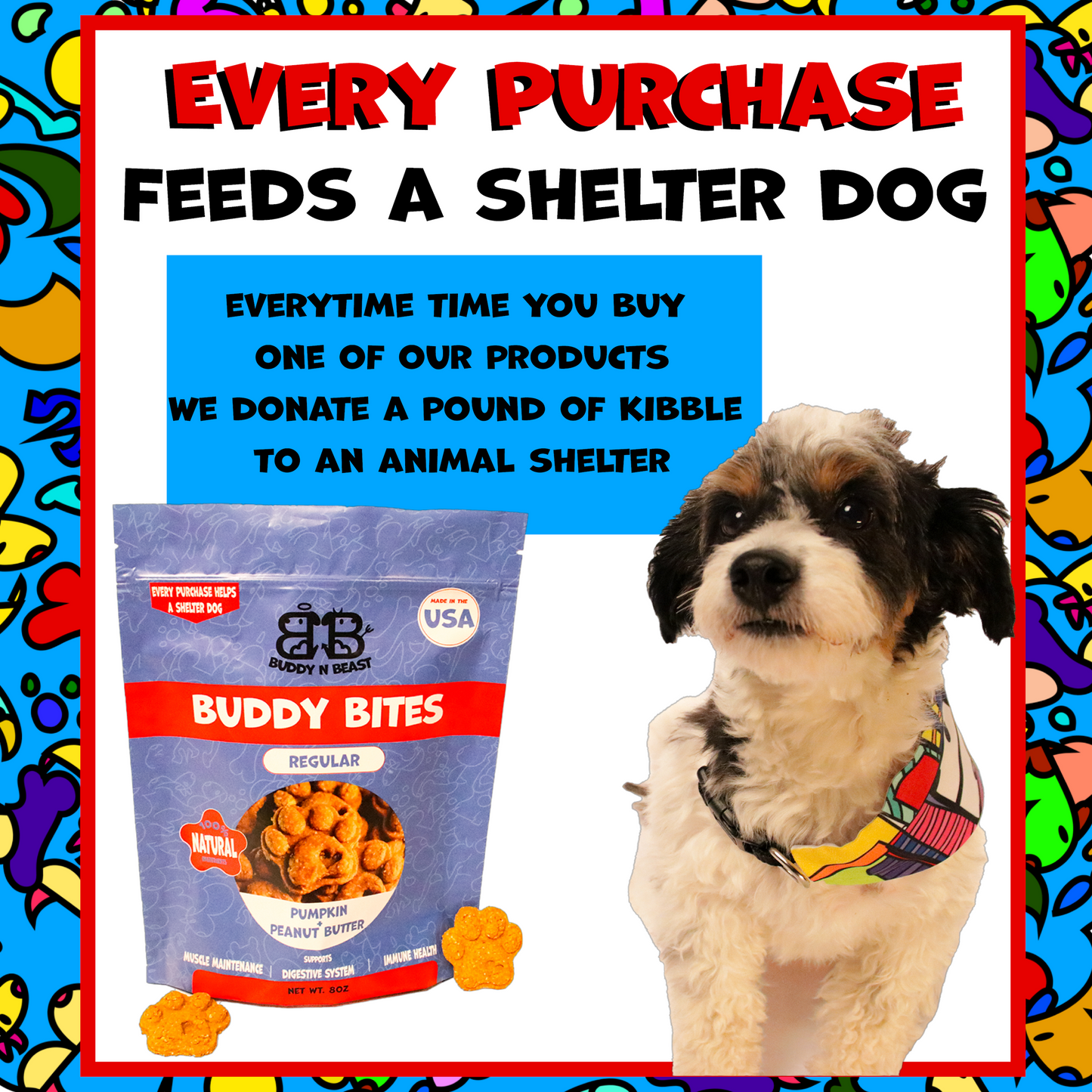 Paw Snacks - Regular