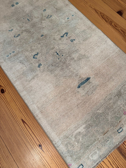 2'11" x 11'11" Long, Neutral Runner