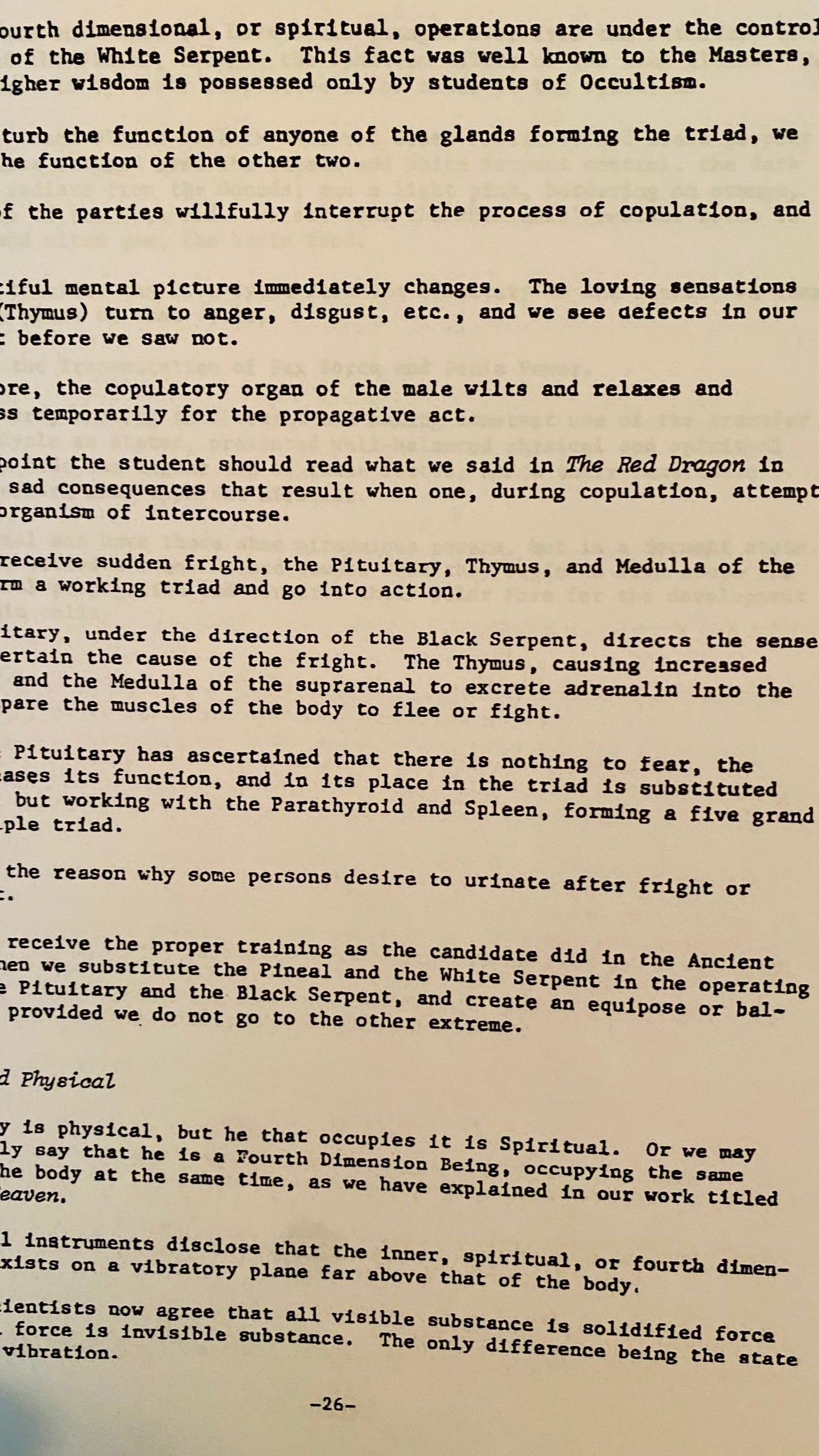 The Magic Wand — Hilton Hotema