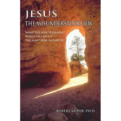 Jesus the Misunderstood Jew: What the New Testament Really Says about the Man from Nazareth - Paperback
