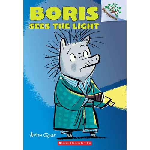 Boris Sees the Light: A Branches Book (Boris #4): Volume 4 - Paperback