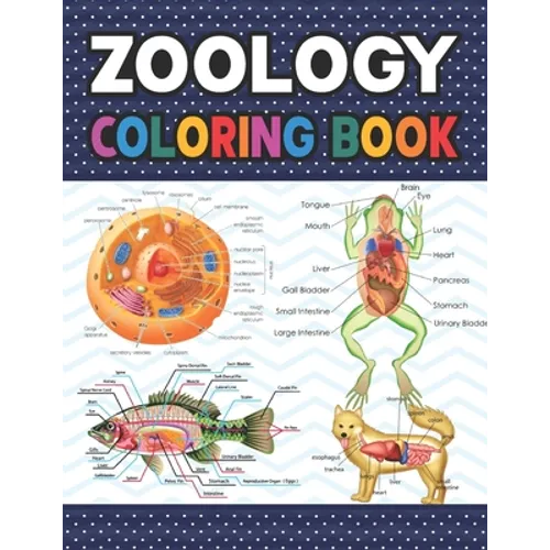 Zoology Coloring Book: Collection of Simple Illustrations of Zoology. The New Surprising Magnificent Learning Structure For Veterinary Anatom - Paperback
