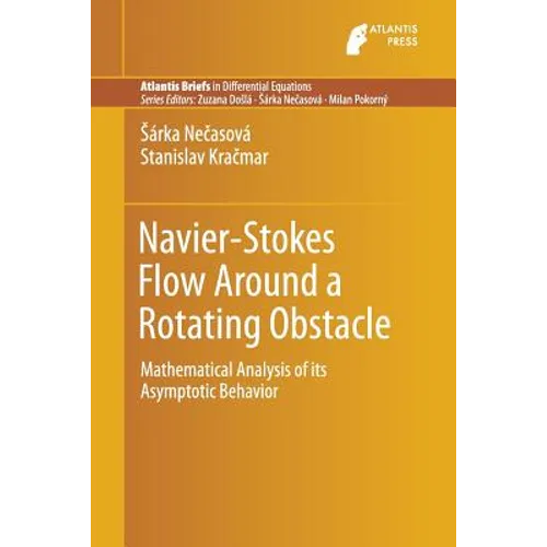 Navier-Stokes Flow Around a Rotating Obstacle: Mathematical Analysis of Its Asymptotic Behavior - Paperback