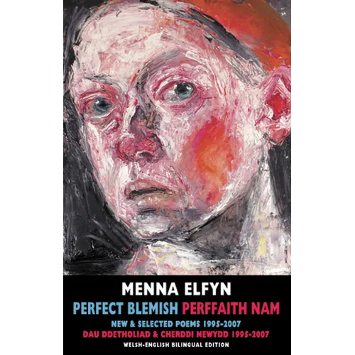 Perfect Blemish / Perffaith Nam: New & Selected Poems 1995-2007 / Dau Ddetholiad & Cherddi Newydd 1995-2007 - Paperback
