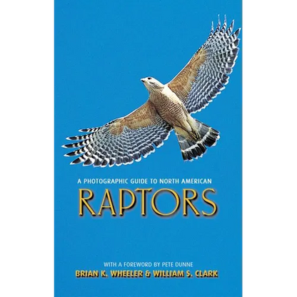 A Photographic Guide to North American Raptors - Paperback