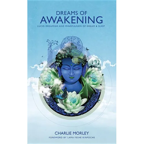 Dreams of Awakening - Paperback
