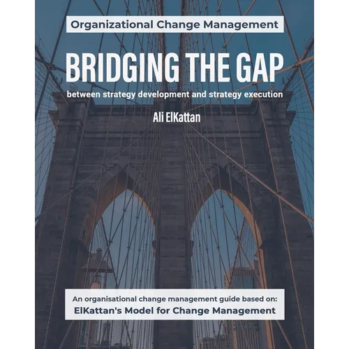Bridging the Gap: between strategy development and strategy execution (black & white) - Paperback