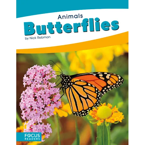 Butterflies - Paperback