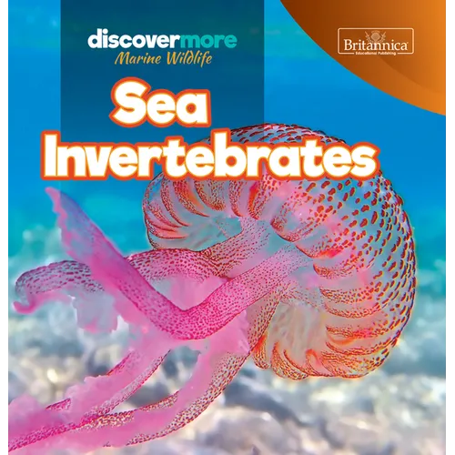 Sea Invertebrates - Paperback