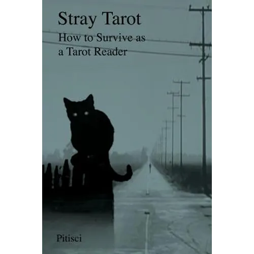 Stray Tarot: How to Survive as a Tarot Reader - Paperback