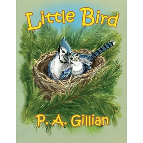 Little Bird - Paperback