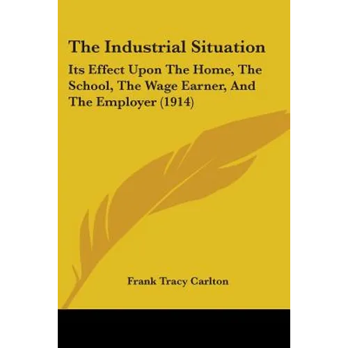 The Industrial Situation: Its Effect Upon The Home, The School, The Wage Earner, And The Employer (1914) - Paperback