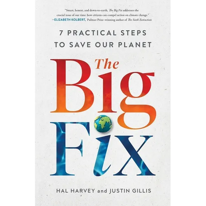 The Big Fix: Seven Practical Steps to Save Our Planet - Paperback