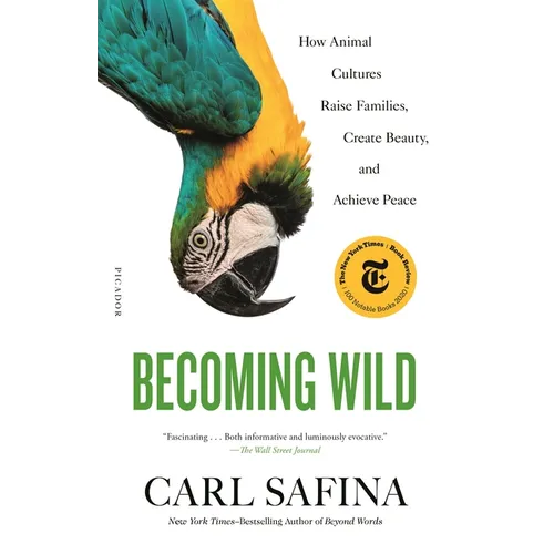 Becoming Wild: How Animal Cultures Raise Families, Create Beauty, and Achieve Peace - Paperback