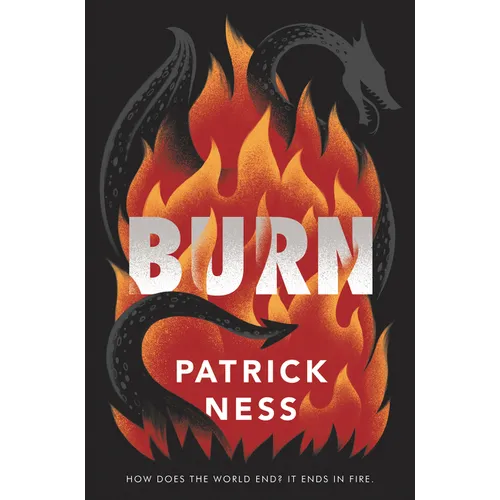 Burn - Hardcover