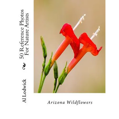 Arizona Wildflowers: 50 Reference Photos For Nature Artists - Paperback