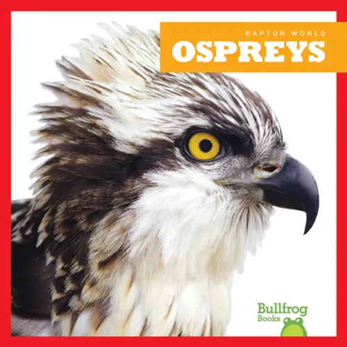 Ospreys - Library Binding