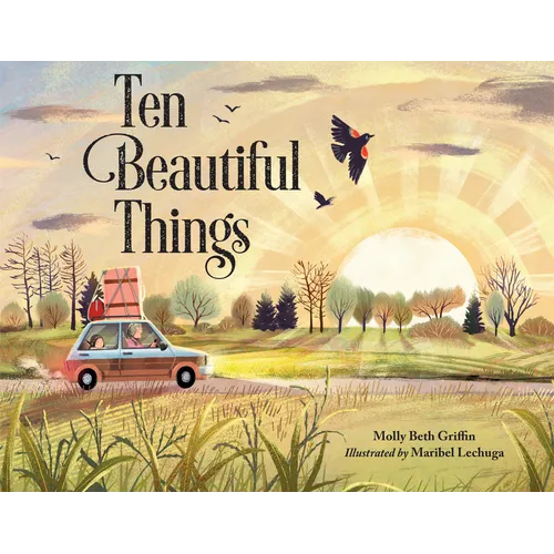 Ten Beautiful Things - Hardcover