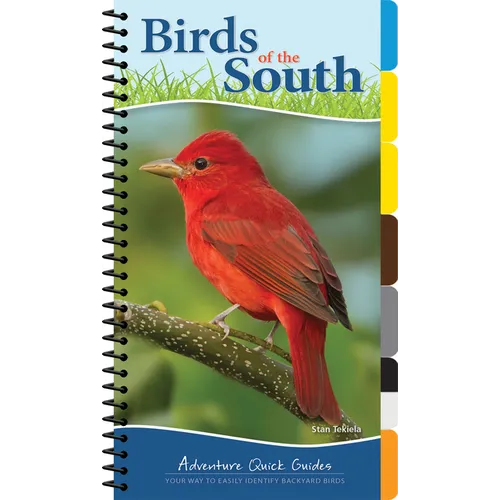 Birds of the South: Your Way to Easily Identify Backyard Birds - Spiral
