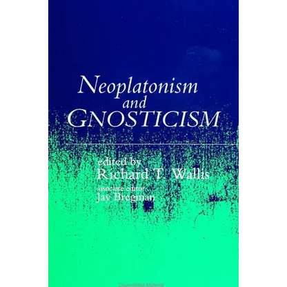 Neoplatonism and Gnosticism - Paperback