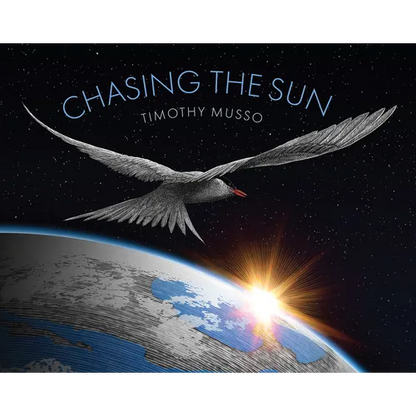 Chasing the Sun - Hardcover