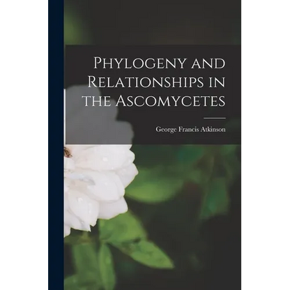 Phylogeny and Relationships in the Ascomycetes - Paperback